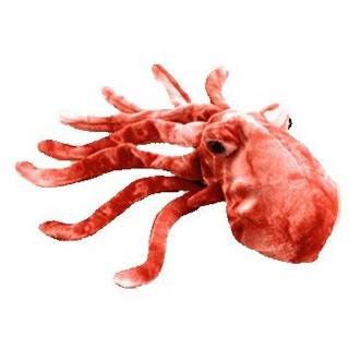 Wiggly The Squid
