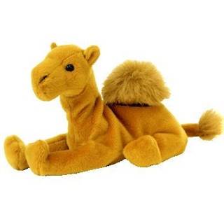 Niles The Camel