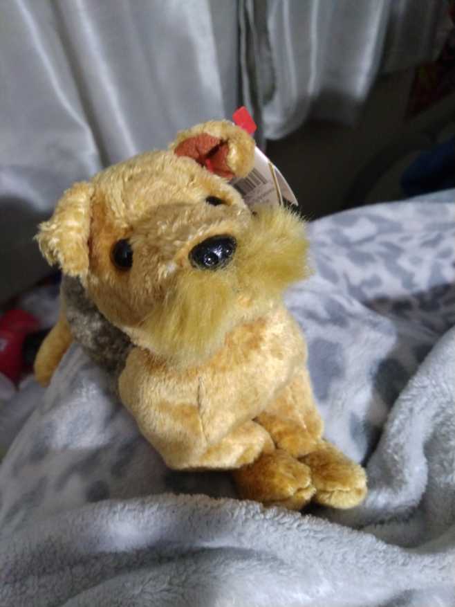 Whiskers The Airedale Terrier Dog  (United States) plush collectible [Barcode 008421043170] - Main Image 3