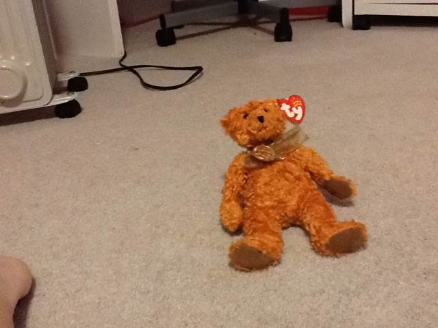 Teddy The Bear (100th Year Anniversary)  plush collectible [Barcode 008421043477] - Main Image 2