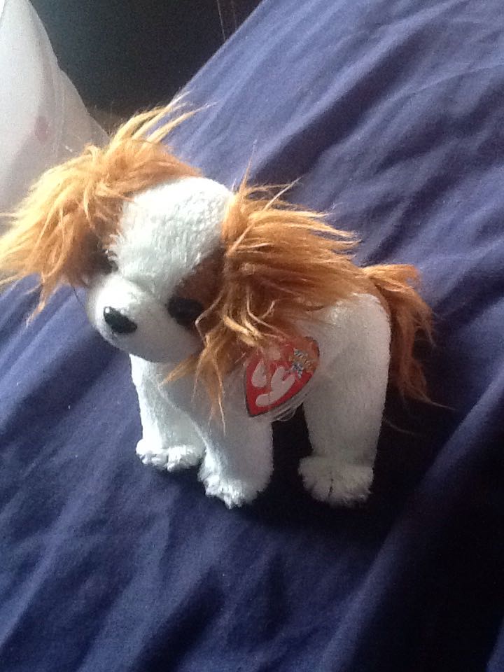 Regal The King Charles Spaniel Dog  plush collectible [Barcode 008421043583] - Main Image 2