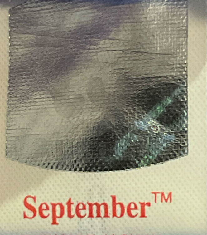 September The Birthday Bear 🐻 🎂  plush collectible [Barcode 008421043729] - Main Image 3