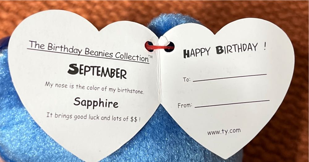 September The Birthday Bear 🐻 🎂  plush collectible [Barcode 008421043729] - Main Image 4