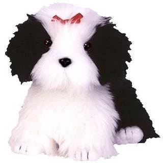 Poofie The Shih Tzu Dog