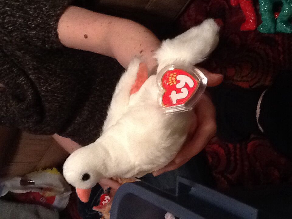Serenity The Dove  (United States) plush collectible [Barcode 008421045334] - Main Image 2