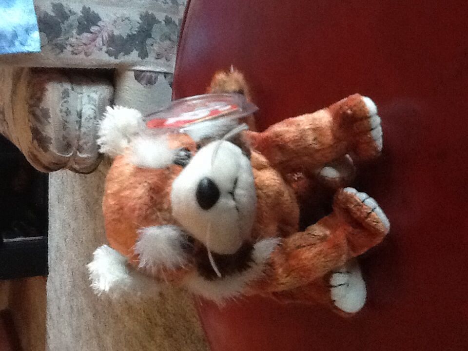 RUSTY the Red Panda  (United States) plush collectible [Barcode 008421045631] - Main Image 2