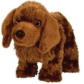Seadog the Newfoundland Dog