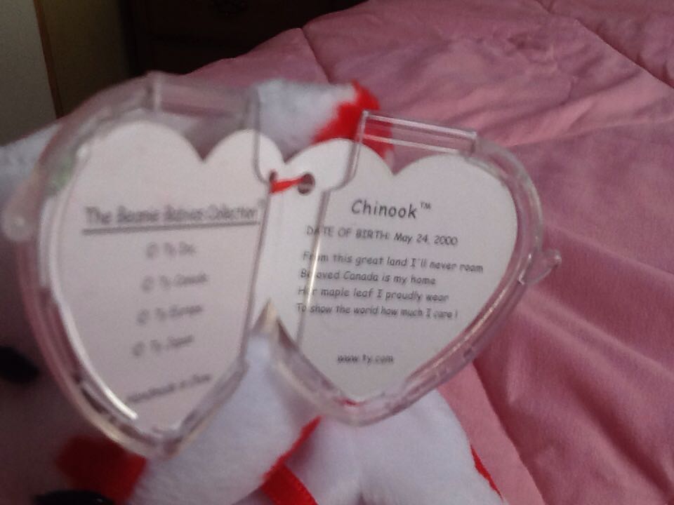 Chinook The Bear  (Canada) plush collectible [Barcode 008421046041] - Main Image 2