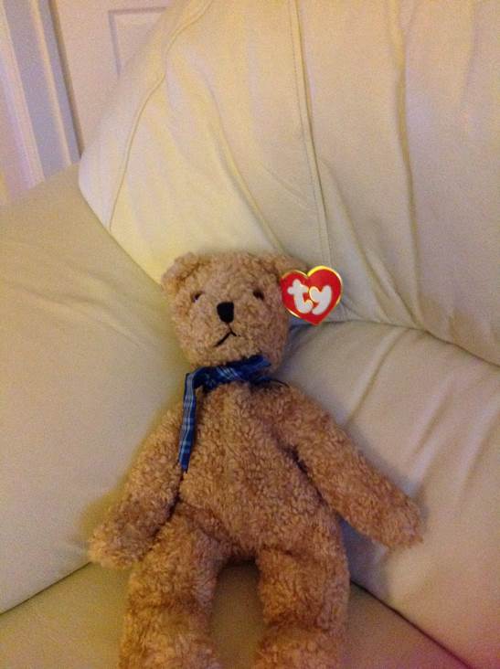 Spring The Blue Bunny Rabbit