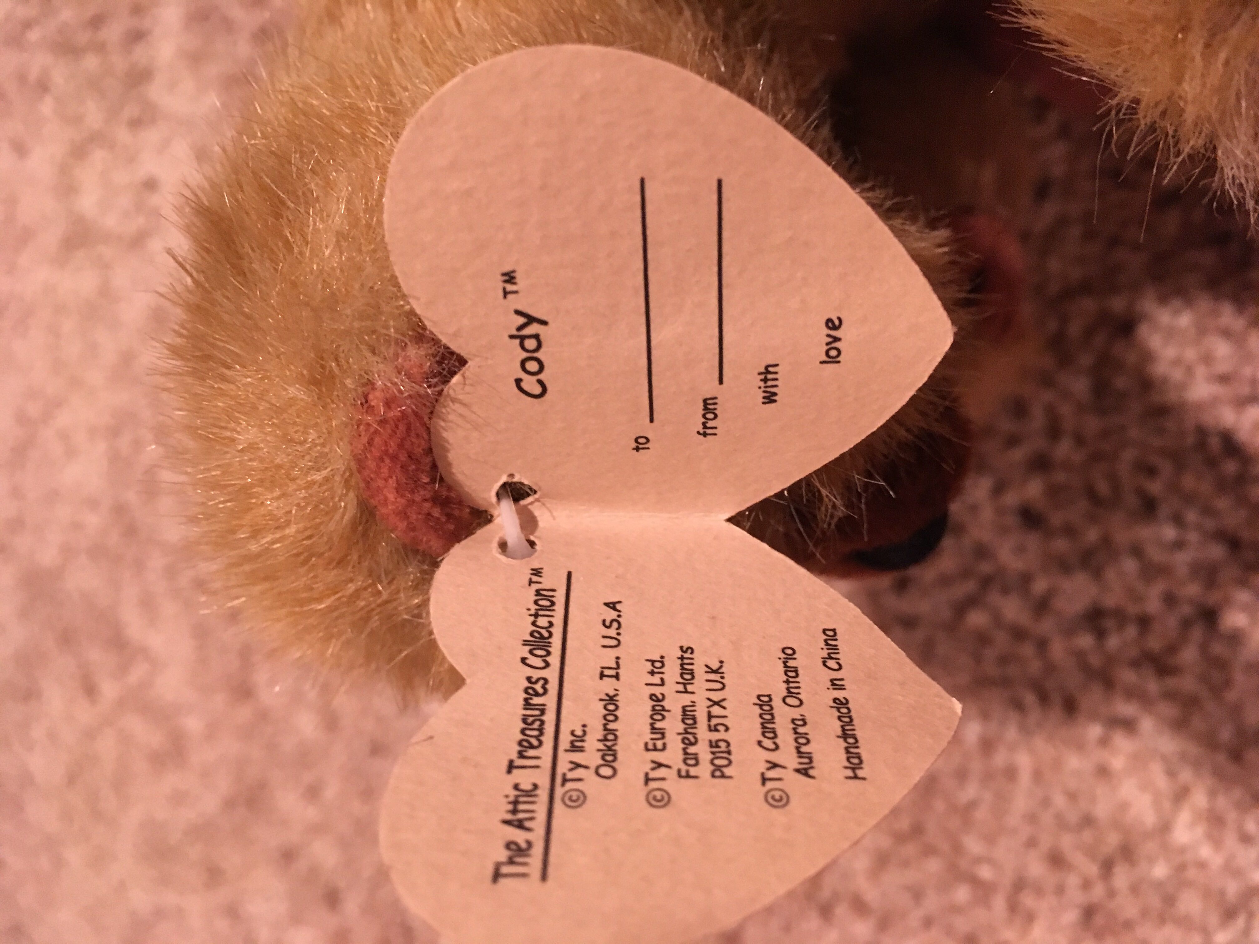 Cody Bear 🐻  plush collectible [Barcode 008421060306] - Main Image 3