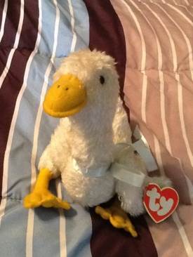 Teddy The Bear (100th Year Anniversary)