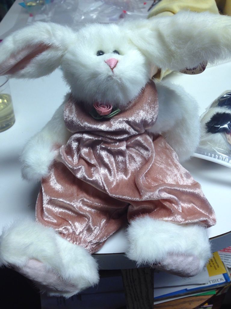 Shooting Star The Bear