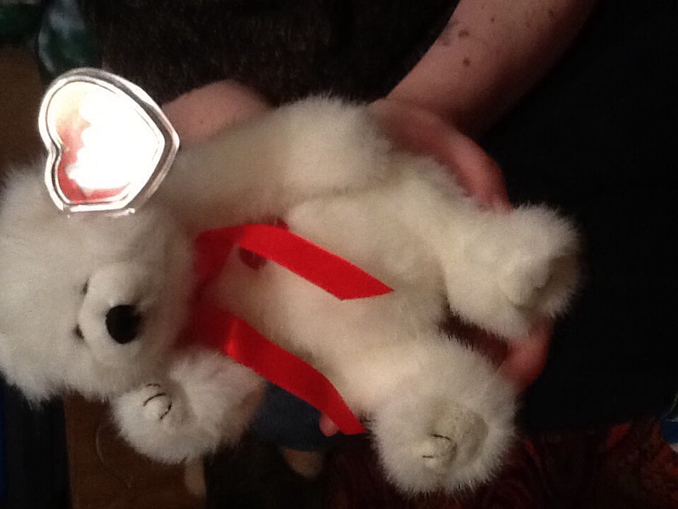 Amore Attic Treasures  plush collectible [Barcode 008421062065] - Main Image 2