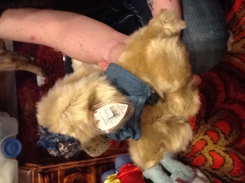 Carey The Dog Attic Treasures  plush collectible [Barcode 008421062645] - Main Image 2