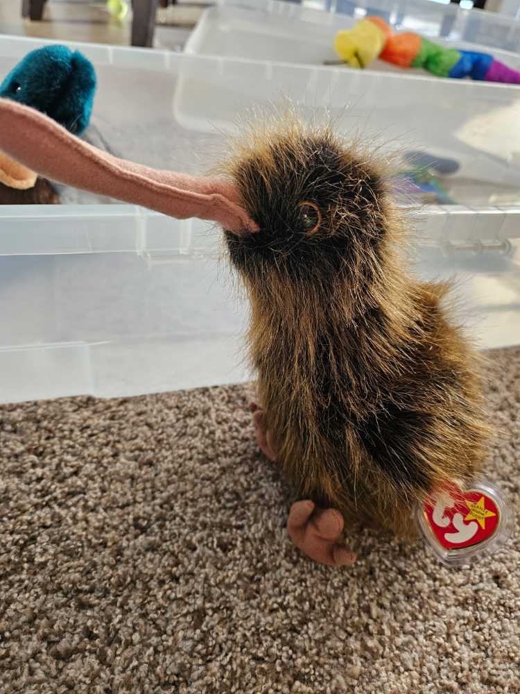 Beak the Beanie Buddy  (United States) plush collectible [Barcode 008421093014] - Main Image 2