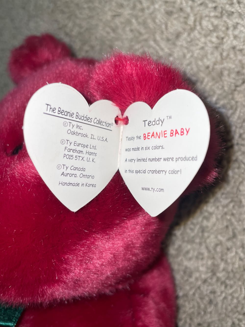 Teddy (Cranberry)  plush collectible [Barcode 008421093069] - Main Image 3
