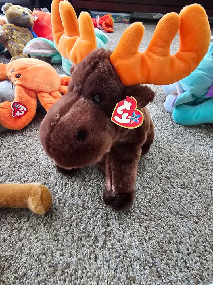 Chocolate the Beanie Buddy  (United States) plush collectible [Barcode 008421093496] - Main Image 3