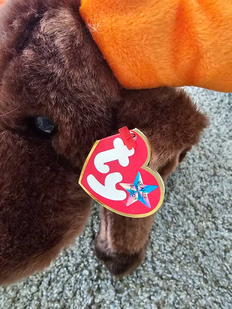 Chocolate the Beanie Buddy  (United States) plush collectible [Barcode 008421093496] - Main Image 4