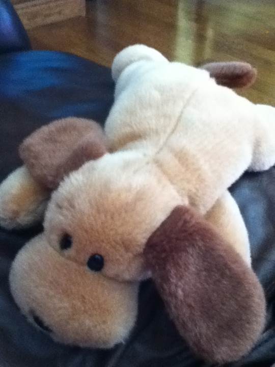 Bones (Buddy)  plush collectible [Barcode 008421093779] - Main Image 2