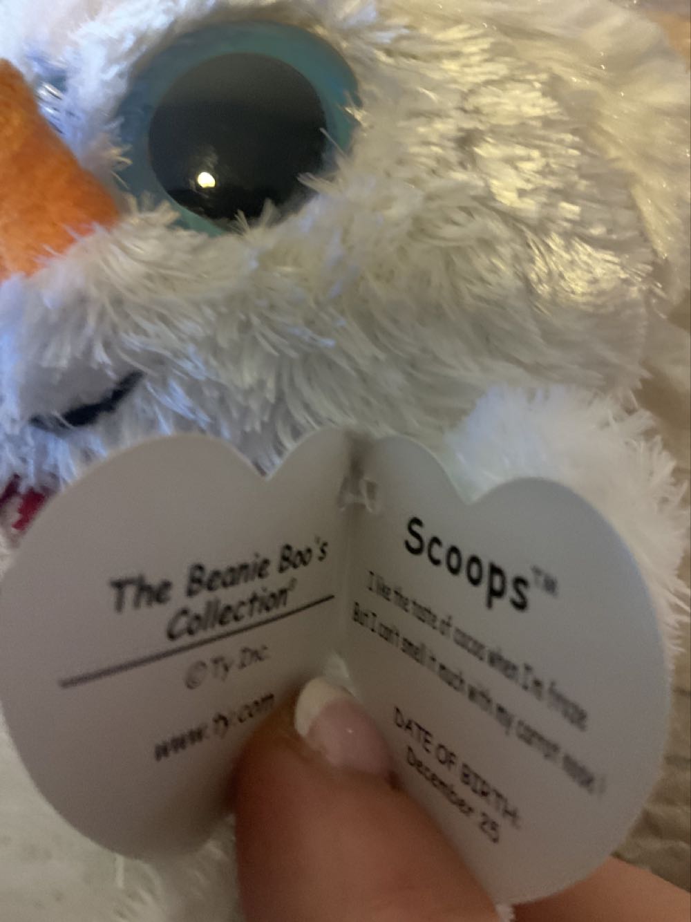 Beanie Boos - Scoops Christmas Snowman  (United States) plush collectible [Barcode 008421360246] - Main Image 2