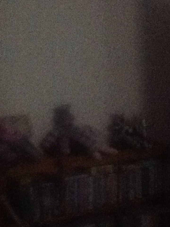 .BALLZ Monaco The Tiger  (Canada) plush collectible [Barcode 008421383184] - Main Image 2