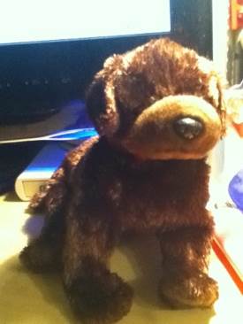 Classic - Wynter the dog