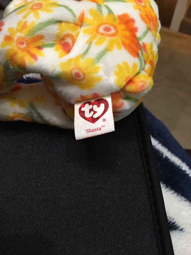 Shasta the Bear  plush collectible [Barcode 008421400706] - Main Image 2