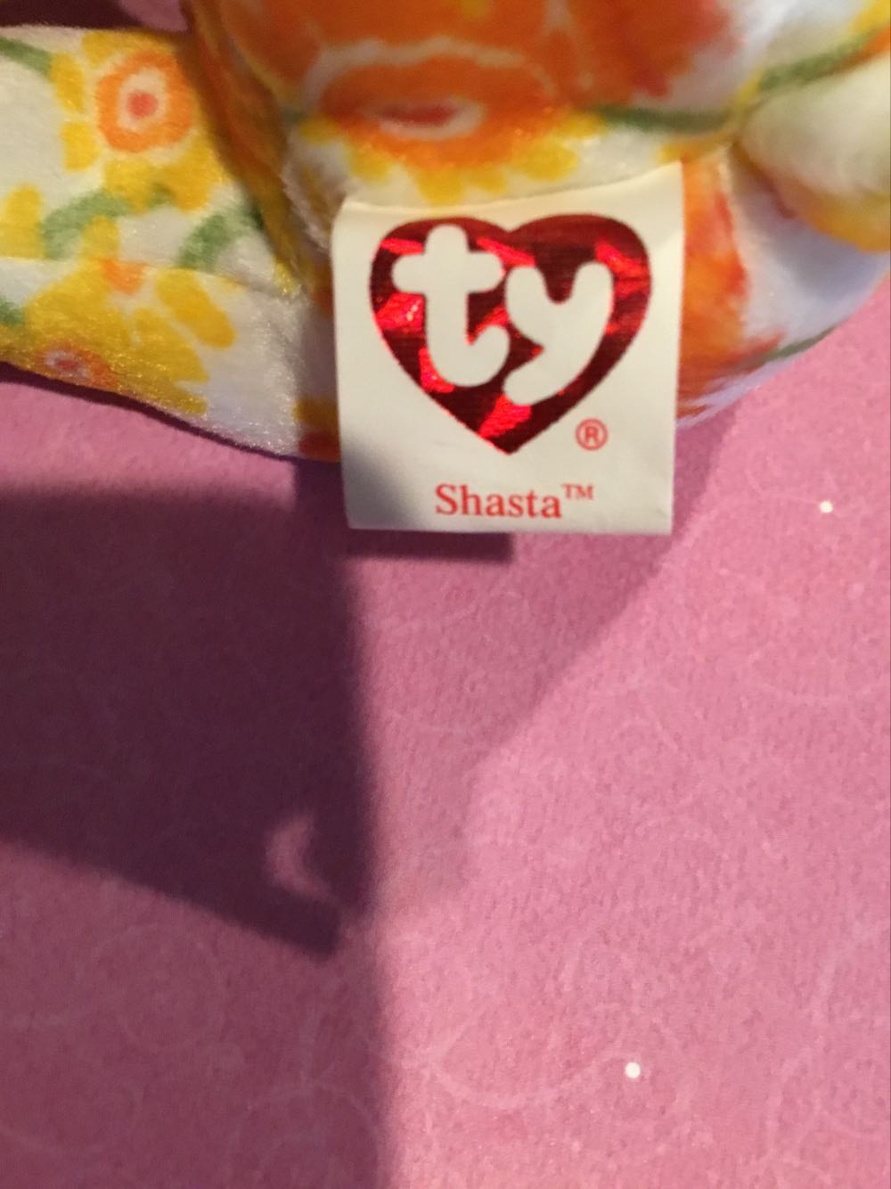 Shasta the Bear  plush collectible [Barcode 008421400706] - Main Image 3