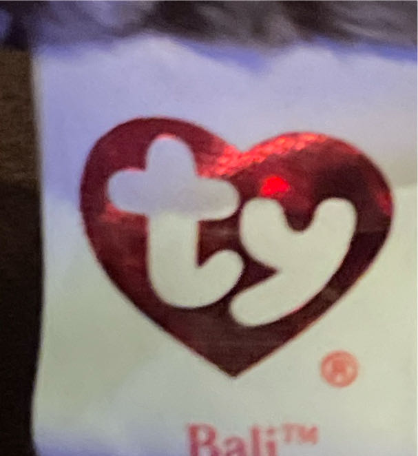 Bali the Komodo Dragon - Brown Body Green Tongue  (United States) plush collectible [Barcode 008421401871] - Main Image 3