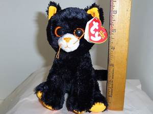 Nacho the chihuahua (kc)