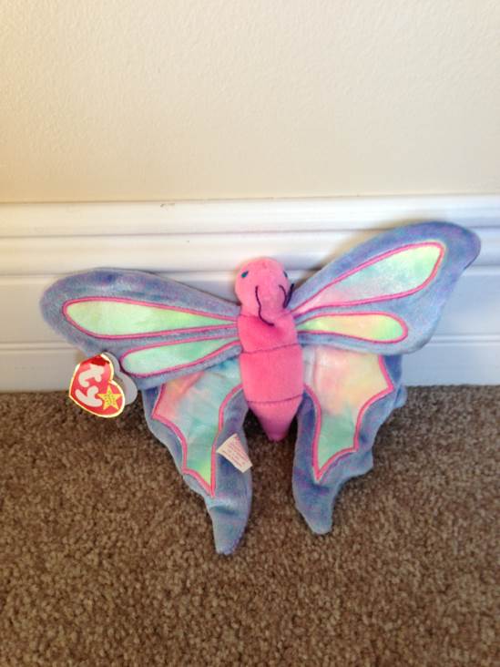 Champion - Germany (Buddy)