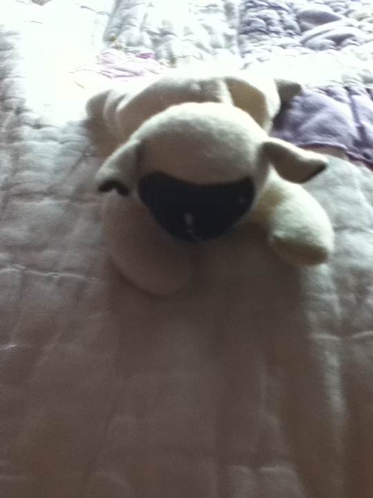 CHOPS the Lamb  plush collectible - Main Image 2