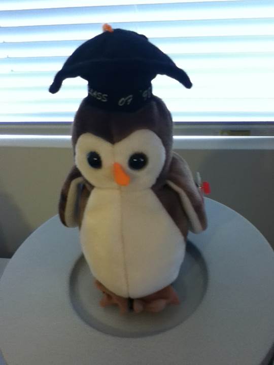 WISE The Class of 1998 Owl  plush collectible - Main Image 2