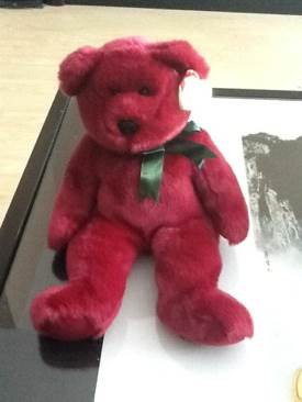 Derby The Horse (Coarse Mane No Star)