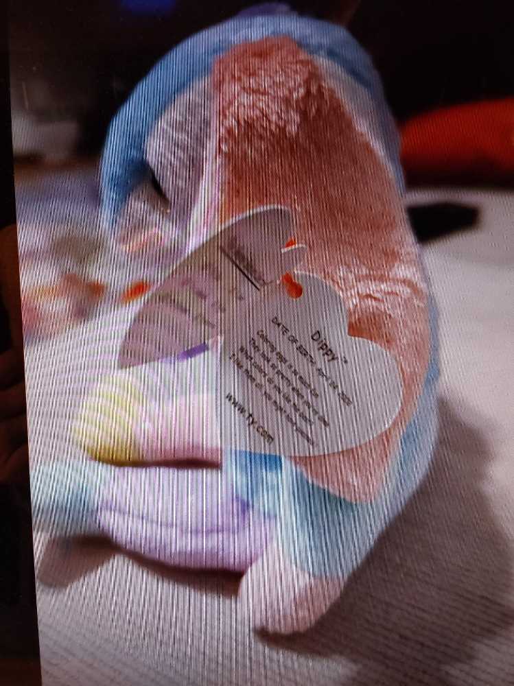 Dippy The Bunny (Blue Chest)  plush collectible - Main Image 2