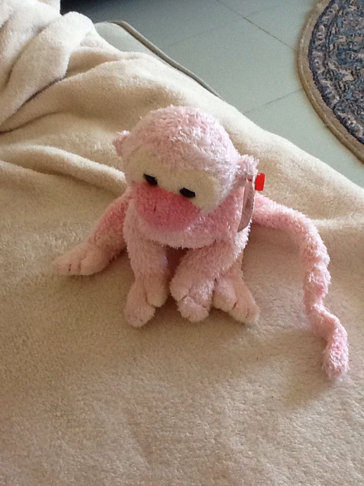 Poet The Monkey  plush collectible - Main Image 2