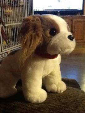 Rainbow The Chameleon (Blue, No Tongue, W/ Collar)