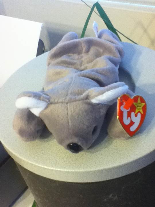 Mel The Koala - Teenie Beanie  plush collectible - Main Image 2