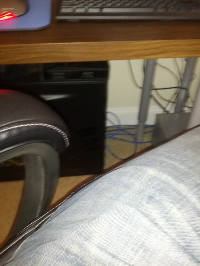 Spunky The Cocker Spaniel