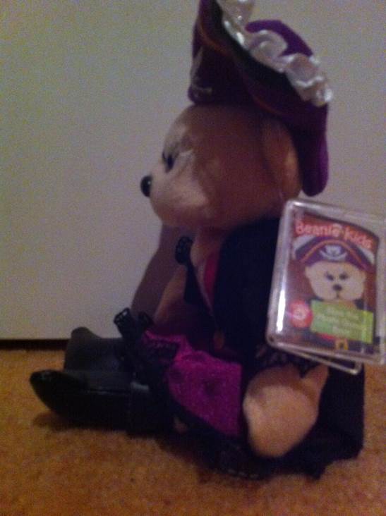 Eliza The Pirate Queen Bear  plush collectible - Main Image 2