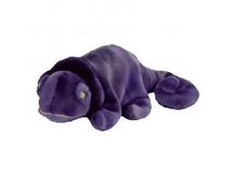 Dr. Jack the Helping Dog