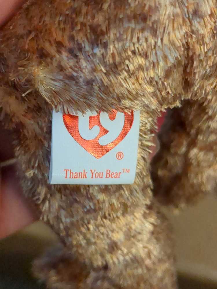Thank You Bear The Bear (BBOM)  plush collectible - Main Image 2