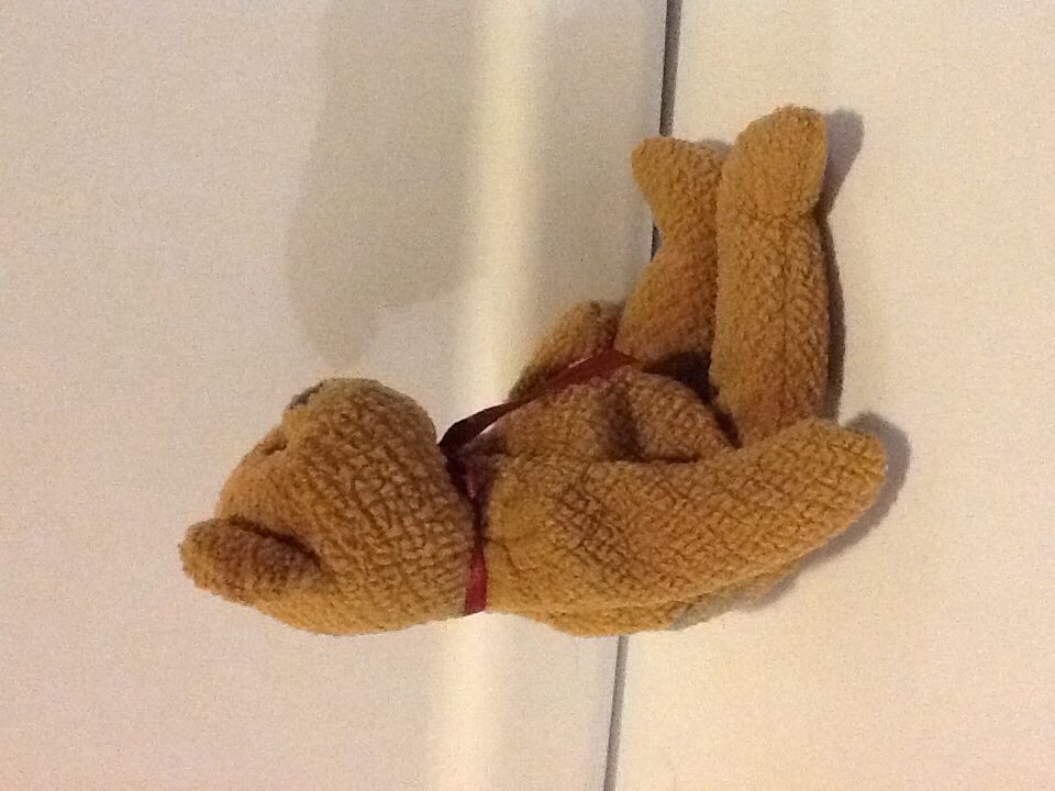 Curly  plush collectible - Main Image 2