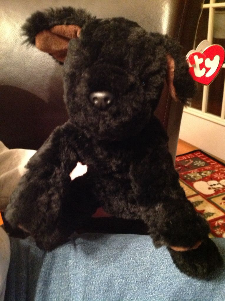 Swampy The Alligator