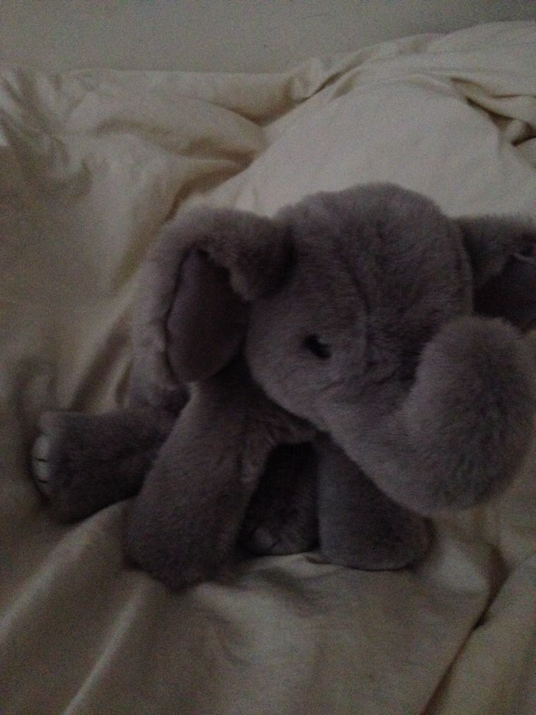 Spout The Elephant (beanie Buddie)  plush collectible - Main Image 2