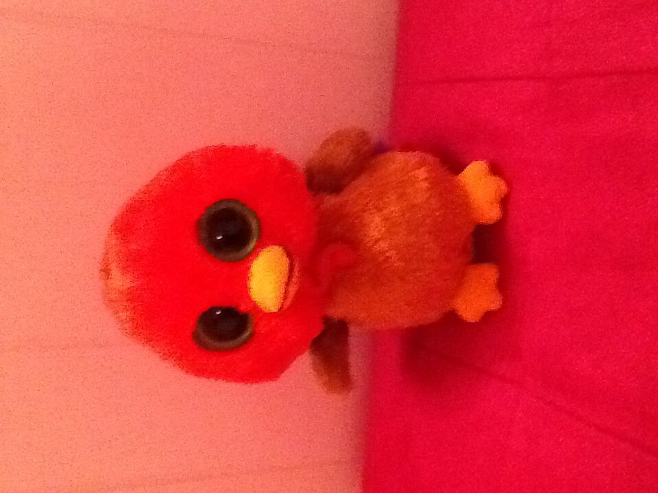 Eliza The Pirate Queen Bear