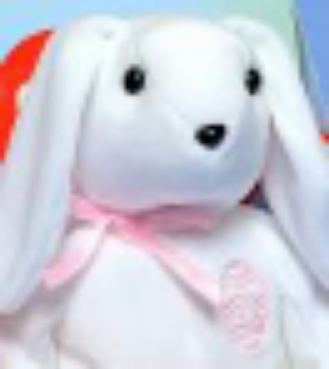 Breezy The Bear 🐻