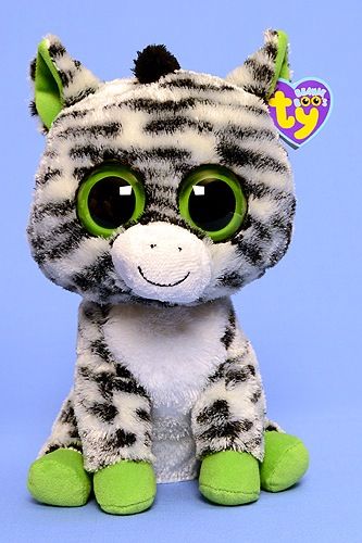 Wisest the Owl - Graduation