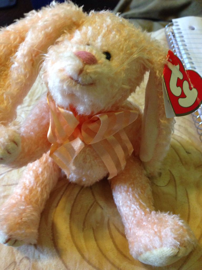 Brutus The Rottweiler