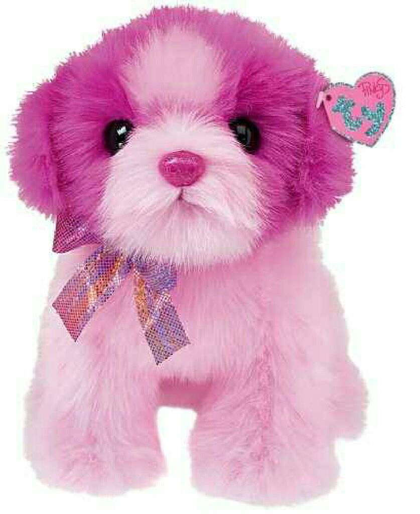 Cassie The Collie Dog